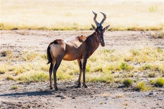 Botswana