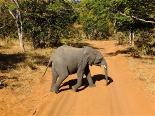 Botswana