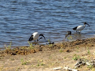 Botswana