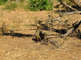 Botswana