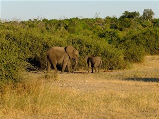 Botswana