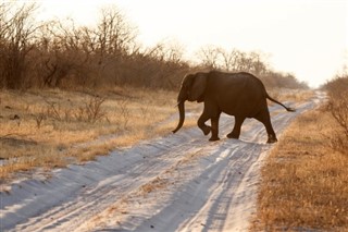 Botswana