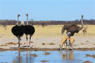 Botswana