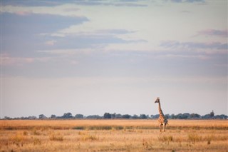 Botswana