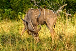 Botswana