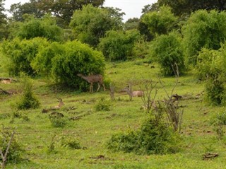 Botswana