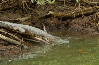 Brunei