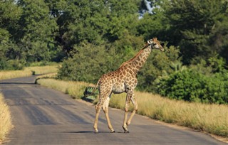 Burkina