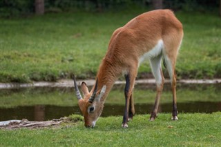 Burundi