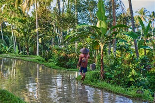 Cambodia