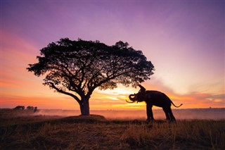 Cambodia