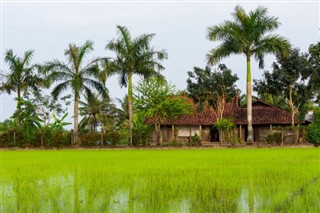 Cambodia