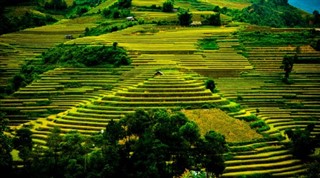 Cambodia
