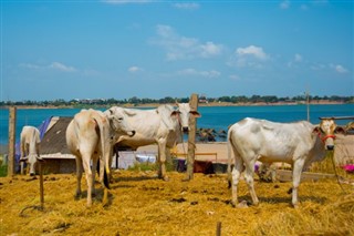 Cambodia