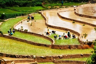 Cambodia