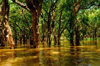 Cambodia