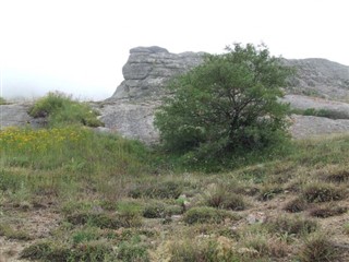 Cape