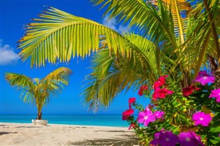 Cayman