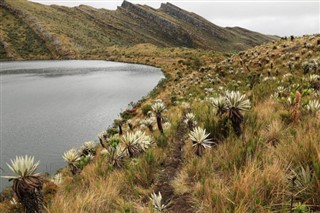 Colombia