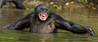 Congo,