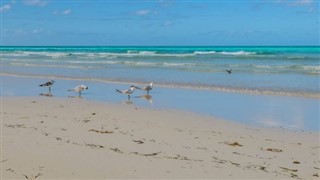 Cuba