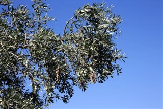 Cyprus