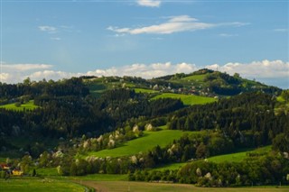 Czech