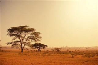 Djibouti