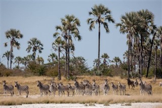 Djibouti