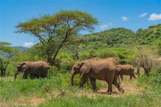 Djibouti