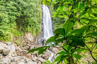 Dominica