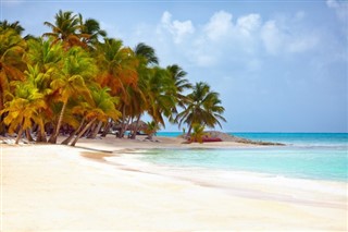 Dominican