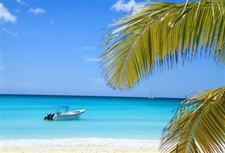 Dominican