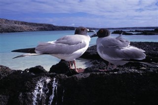 Ecuador