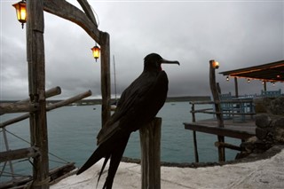 Ecuador