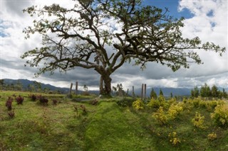 Ecuador