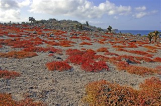 Ecuador