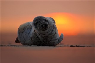 Ecuador