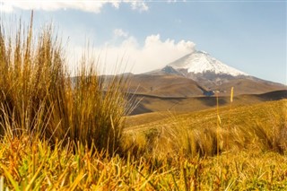 Ecuador