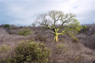 Ecuador