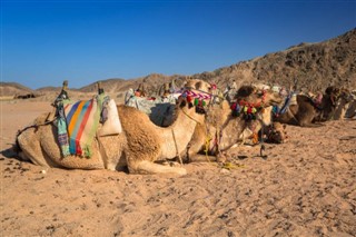 Egypt