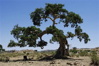 Eritrea