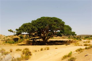 Eritrea