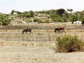 Eritrea