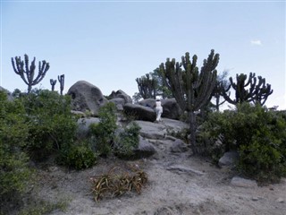 Eritrea