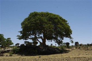 Eritrea