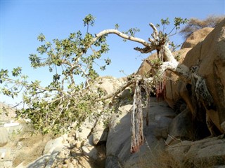 Eritrea