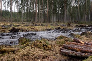 Estonia