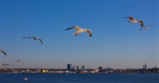 Estonia
