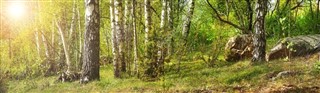 Estonia